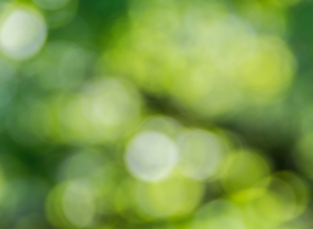 Salon du livre de Toronto